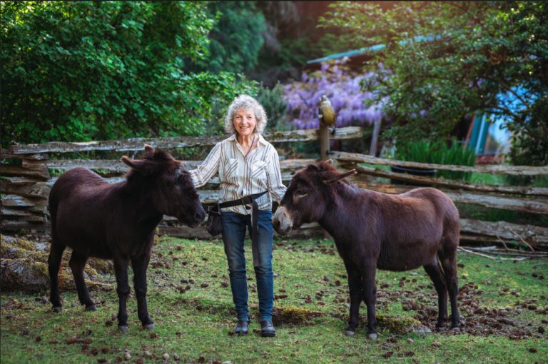 Cynthia Minden—mindful art & donkeys