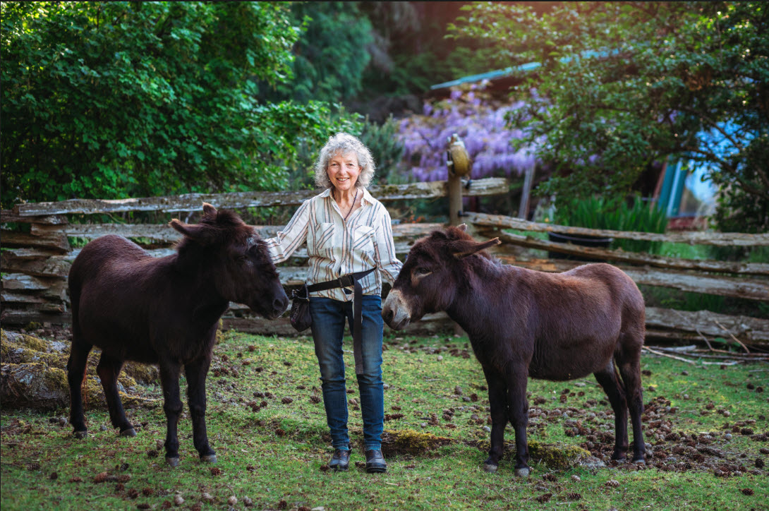 Cynthia Minden—mindful art & donkeys