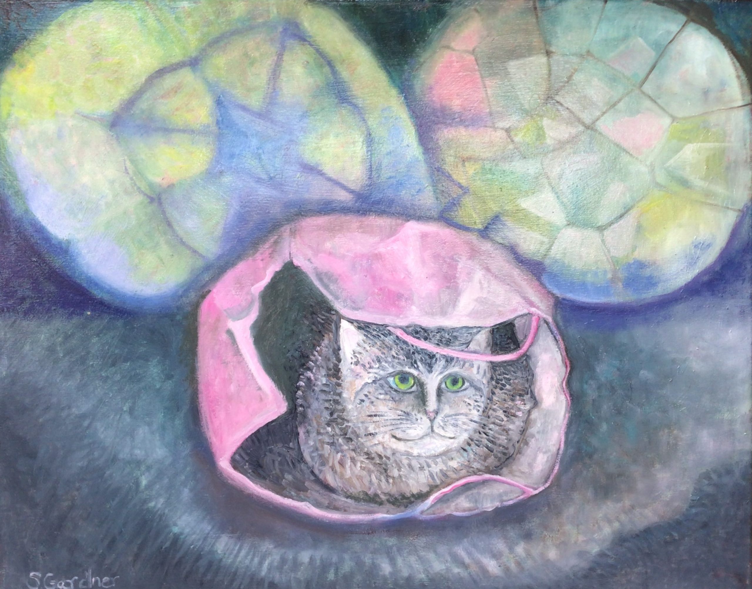Sudasi Gardner—multimedia artist